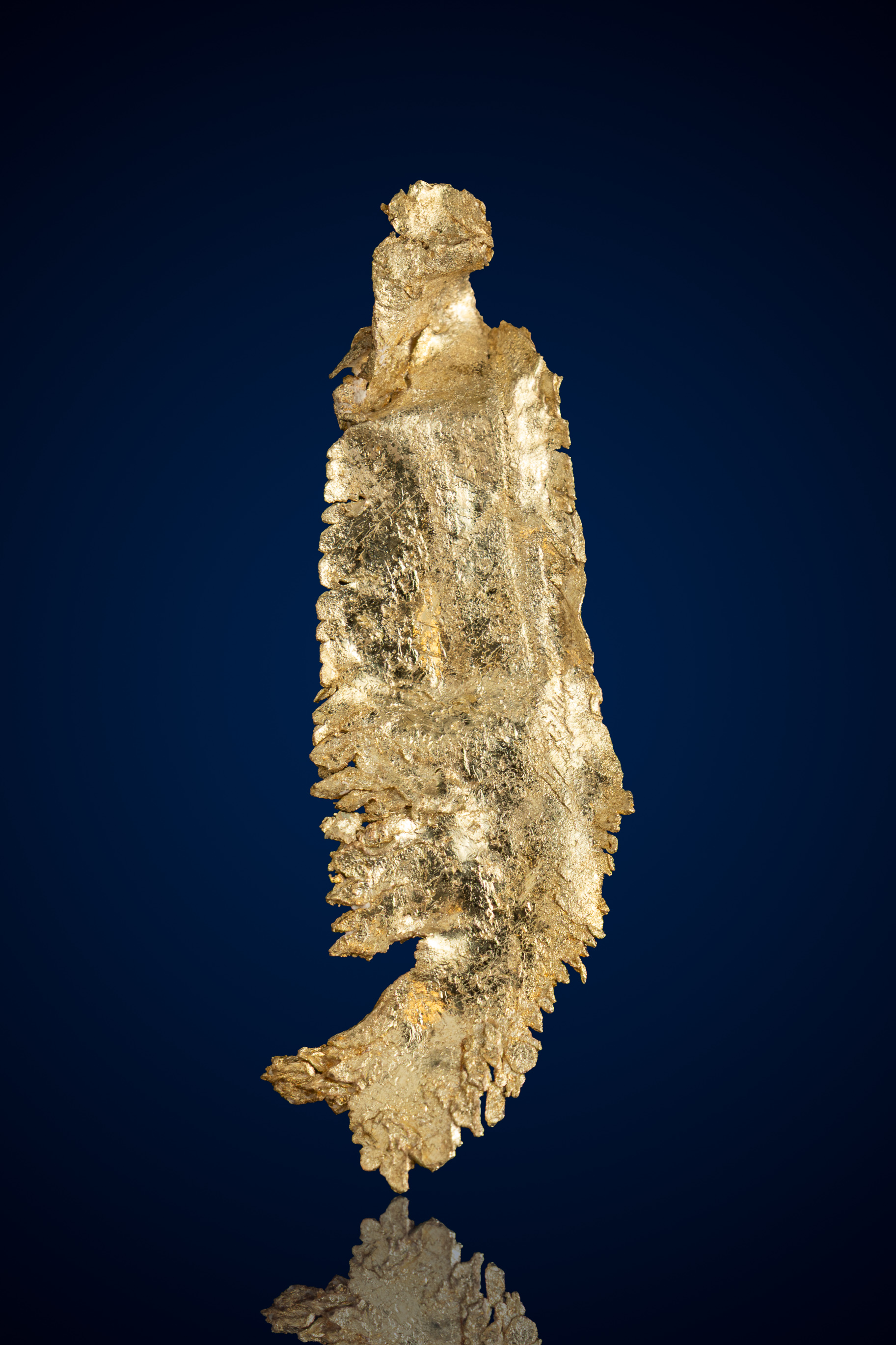 (image for) Sheet-Like, Reflective Natural Gold Specimen - Round Mountain, NV - 2.23 grams
